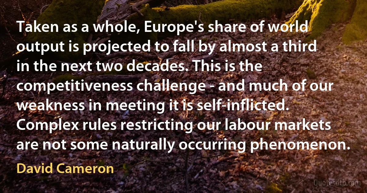 Taken as a whole, Europe's share of world output is projected to fall by almost a third in the next two decades. This is the competitiveness challenge - and much of our weakness in meeting it is self-inflicted. Complex rules restricting our labour markets are not some naturally occurring phenomenon. (David Cameron)