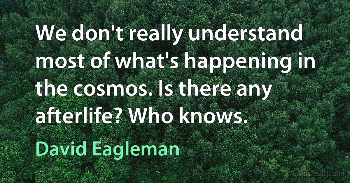 We don't really understand most of what's happening in the cosmos. Is there any afterlife? Who knows. (David Eagleman)