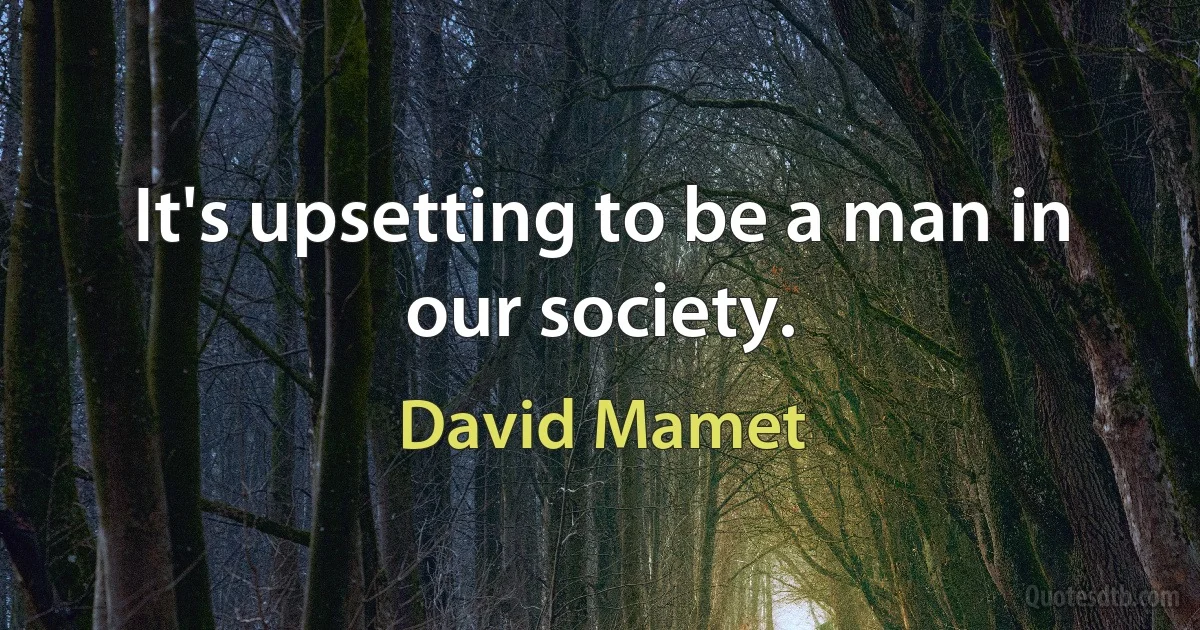 It's upsetting to be a man in our society. (David Mamet)