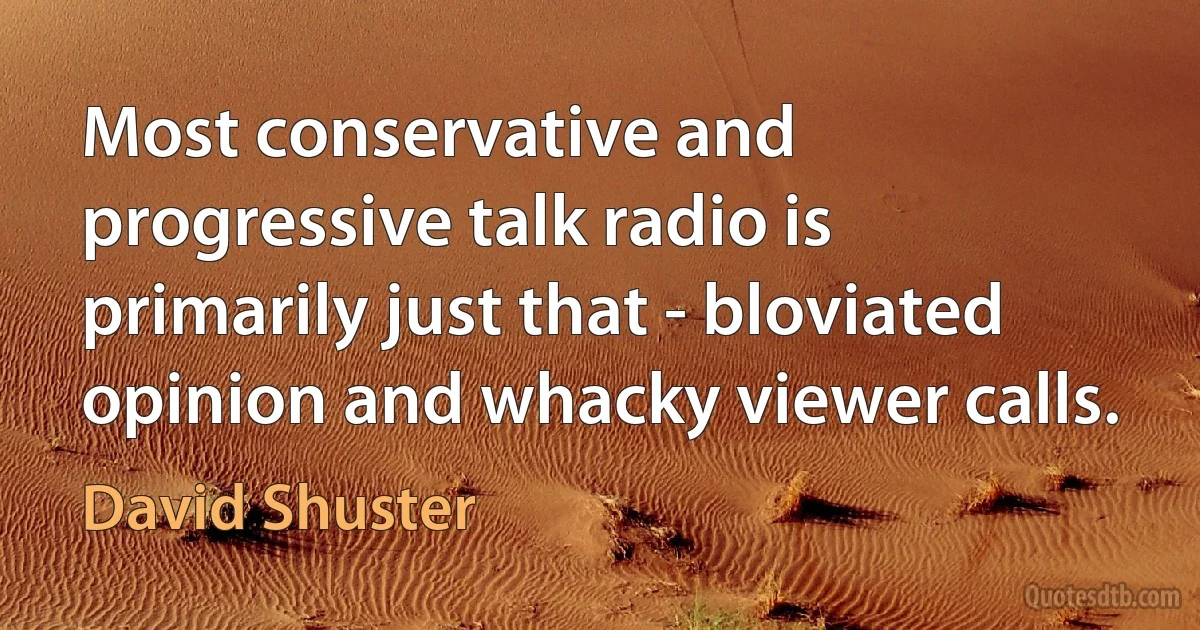 Most conservative and progressive talk radio is primarily just that - bloviated opinion and whacky viewer calls. (David Shuster)