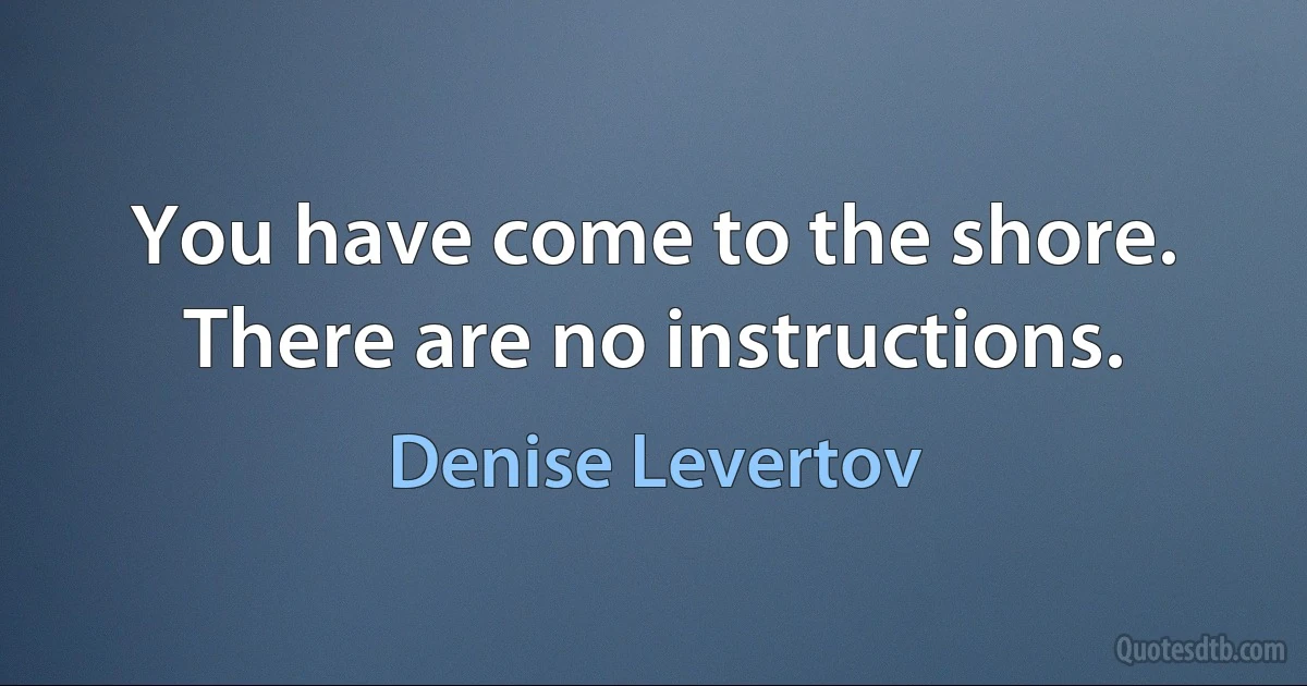 You have come to the shore. There are no instructions. (Denise Levertov)