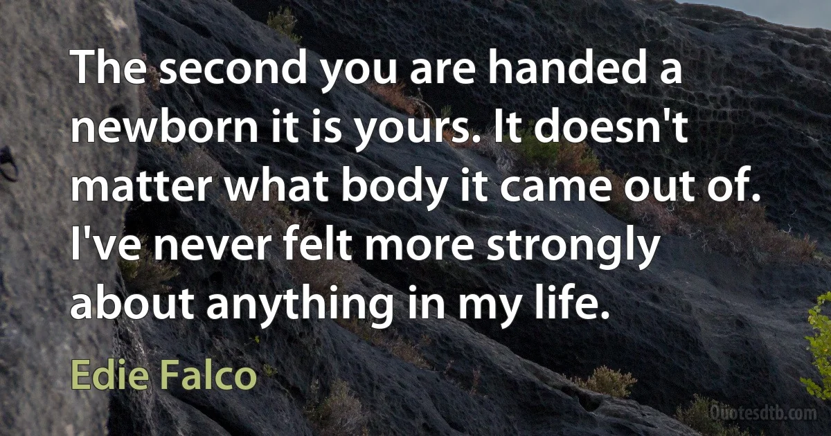 The second you are handed a newborn it is yours. It doesn't matter what body it came out of. I've never felt more strongly about anything in my life. (Edie Falco)