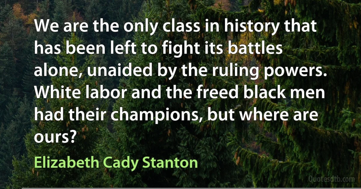 We are the only class in history that has been left to fight its battles alone, unaided by the ruling powers. White labor and the freed black men had their champions, but where are ours? (Elizabeth Cady Stanton)