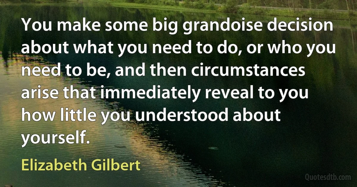 You make some big grandoise decision about what you need to do, or who you need to be, and then circumstances arise that immediately reveal to you how little you understood about yourself. (Elizabeth Gilbert)