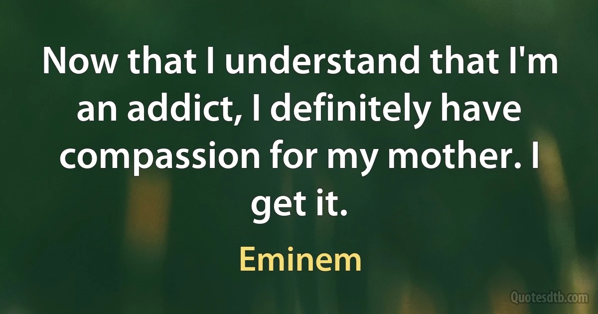 Now that I understand that I'm an addict, I definitely have compassion for my mother. I get it. (Eminem)