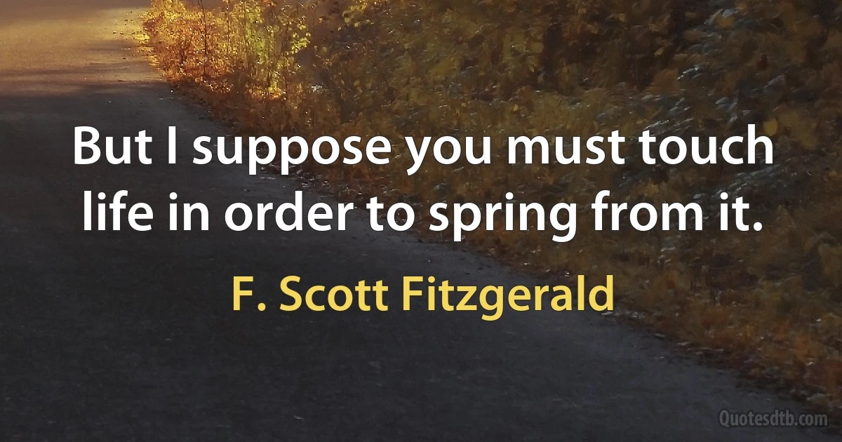 But I suppose you must touch life in order to spring from it. (F. Scott Fitzgerald)