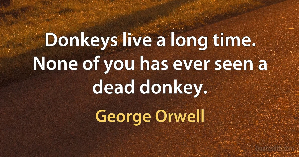 Donkeys live a long time. None of you has ever seen a dead donkey. (George Orwell)