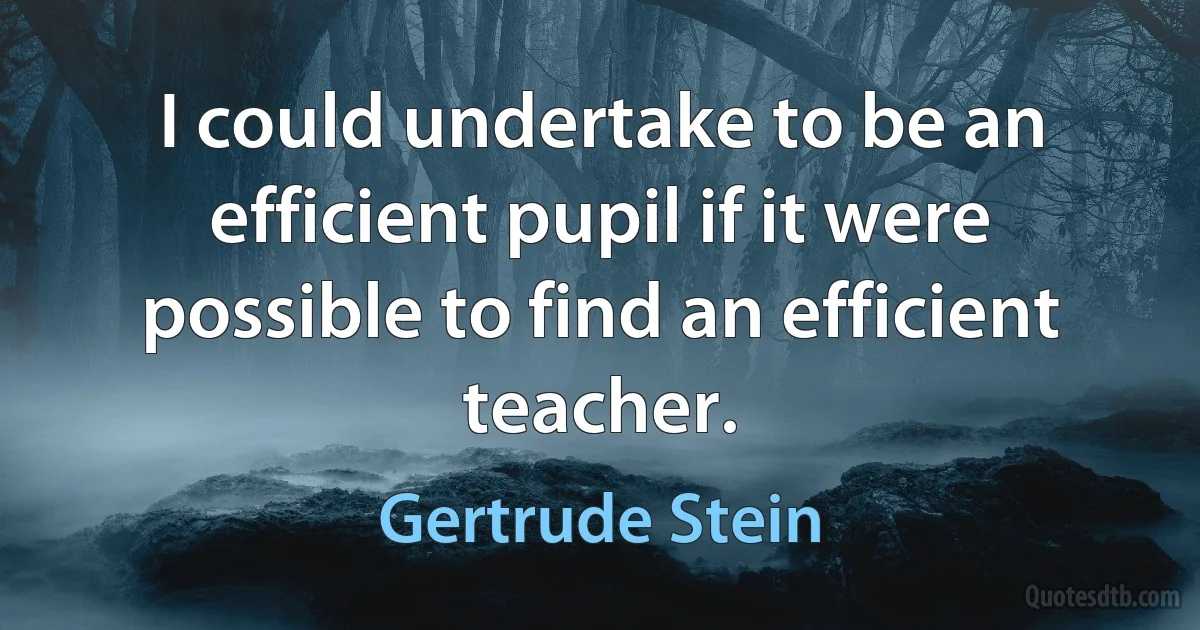 I could undertake to be an efficient pupil if it were possible to find an efficient teacher. (Gertrude Stein)