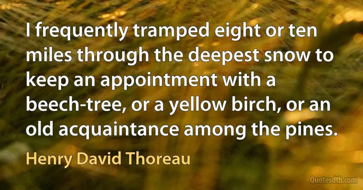 I frequently tramped eight or ten miles through the deepest snow to keep an appointment with a beech-tree, or a yellow birch, or an old acquaintance among the pines. (Henry David Thoreau)