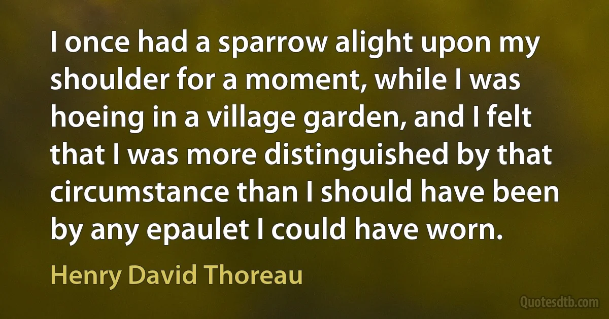 I once had a sparrow alight upon my shoulder for a moment, while I was hoeing in a village garden, and I felt that I was more distinguished by that circumstance than I should have been by any epaulet I could have worn. (Henry David Thoreau)