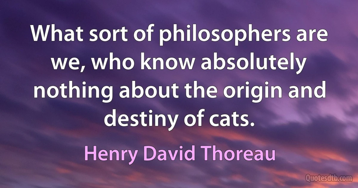 What sort of philosophers are we, who know absolutely nothing about the origin and destiny of cats. (Henry David Thoreau)