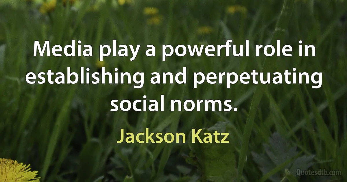 Media play a powerful role in establishing and perpetuating social norms. (Jackson Katz)