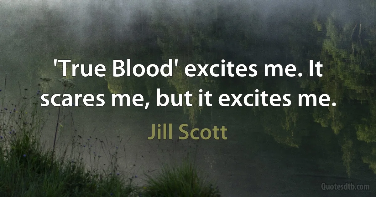 'True Blood' excites me. It scares me, but it excites me. (Jill Scott)