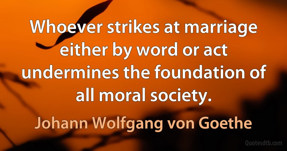 Whoever strikes at marriage either by word or act undermines the foundation of all moral society. (Johann Wolfgang von Goethe)