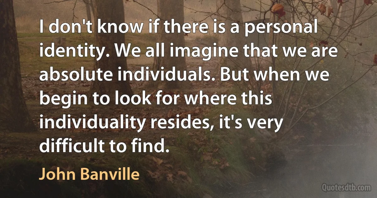 I don't know if there is a personal identity. We all imagine that we are absolute individuals. But when we begin to look for where this individuality resides, it's very difficult to find. (John Banville)