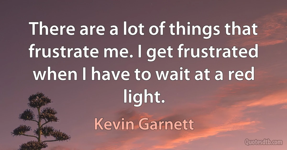 There are a lot of things that frustrate me. I get frustrated when I have to wait at a red light. (Kevin Garnett)