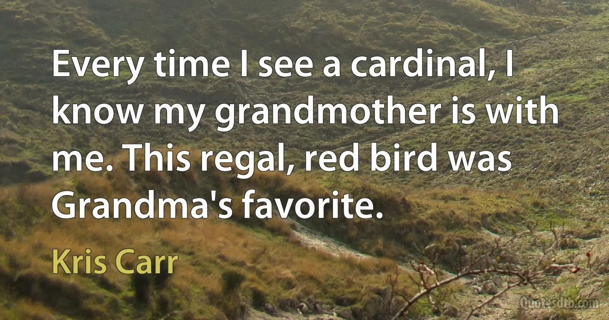 Every time I see a cardinal, I know my grandmother is with me. This regal, red bird was Grandma's favorite. (Kris Carr)