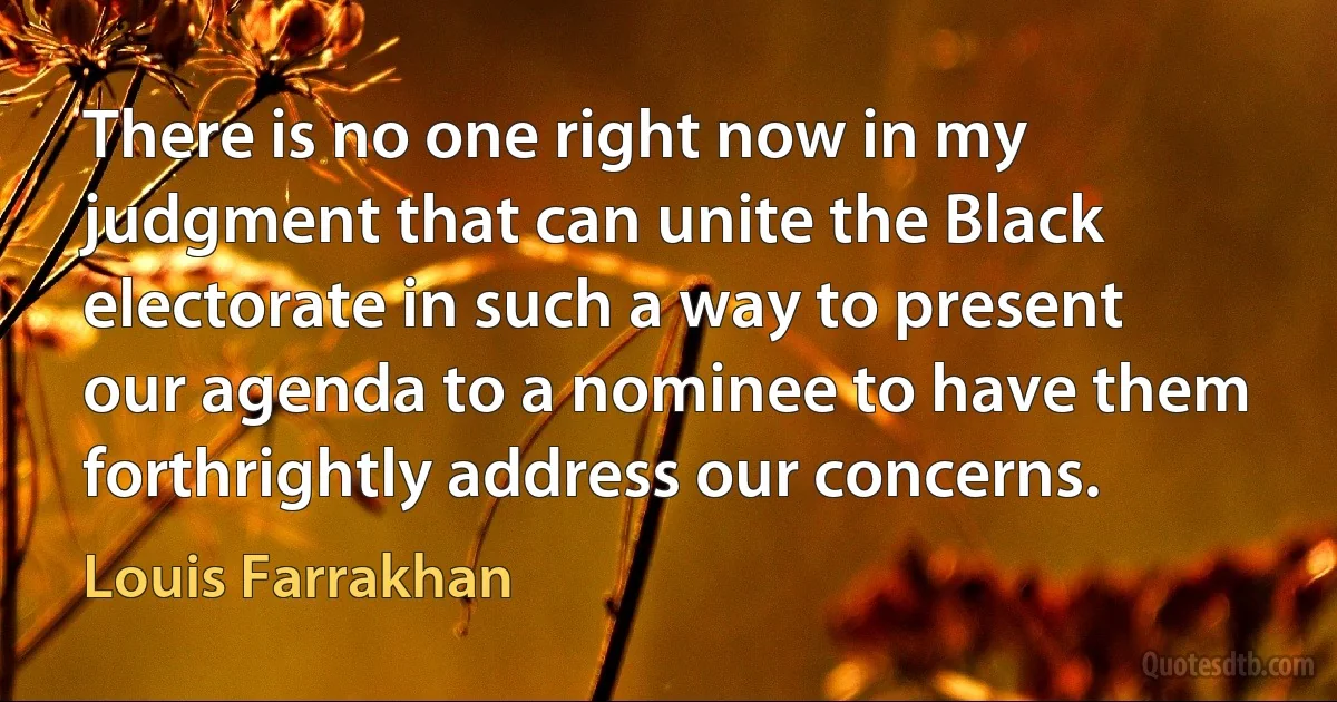 There is no one right now in my judgment that can unite the Black electorate in such a way to present our agenda to a nominee to have them forthrightly address our concerns. (Louis Farrakhan)