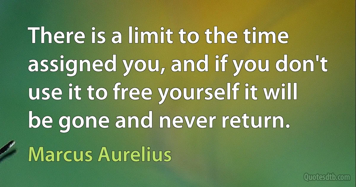 There is a limit to the time assigned you, and if you don't use it to free yourself it will be gone and never return. (Marcus Aurelius)