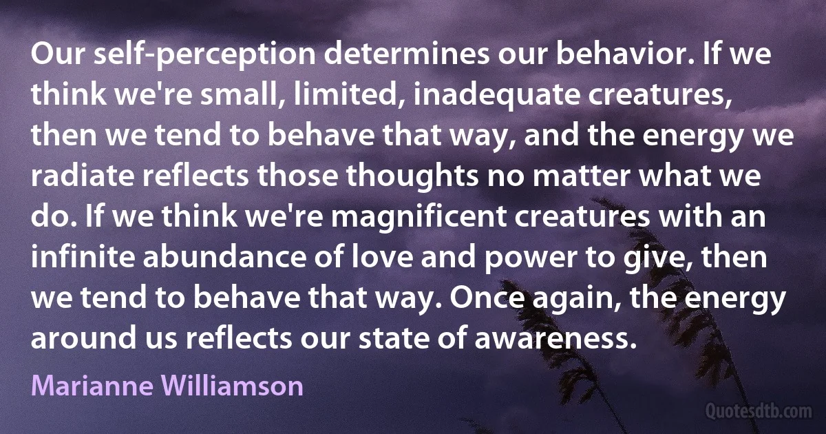 Our self-perception determines our behavior. If we think we're small, limited, inadequate creatures, then we tend to behave that way, and the energy we radiate reflects those thoughts no matter what we do. If we think we're magnificent creatures with an infinite abundance of love and power to give, then we tend to behave that way. Once again, the energy around us reflects our state of awareness. (Marianne Williamson)