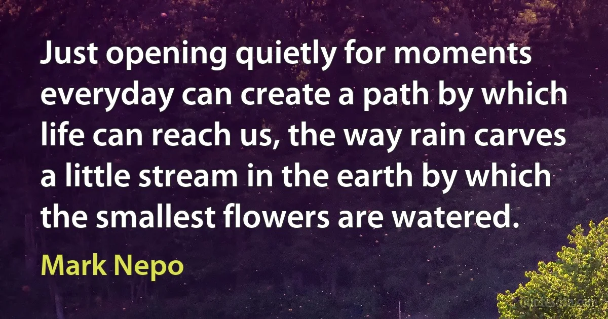 Just opening quietly for moments everyday can create a path by which life can reach us, the way rain carves a little stream in the earth by which the smallest flowers are watered. (Mark Nepo)