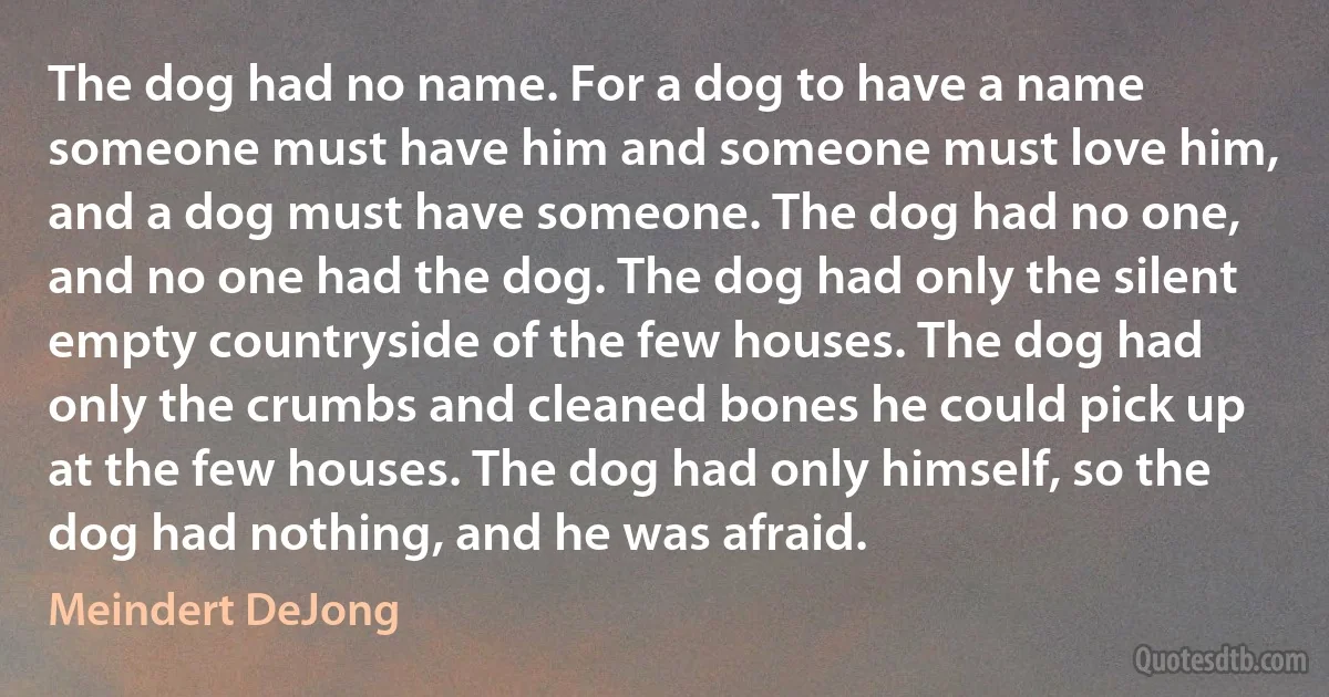 The dog had no name. For a dog to have a name someone must have him and someone must love him, and a dog must have someone. The dog had no one, and no one had the dog. The dog had only the silent empty countryside of the few houses. The dog had only the crumbs and cleaned bones he could pick up at the few houses. The dog had only himself, so the dog had nothing, and he was afraid. (Meindert DeJong)