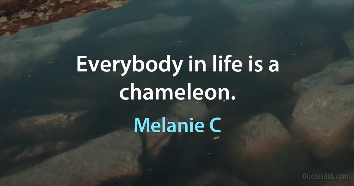 Everybody in life is a chameleon. (Melanie C)