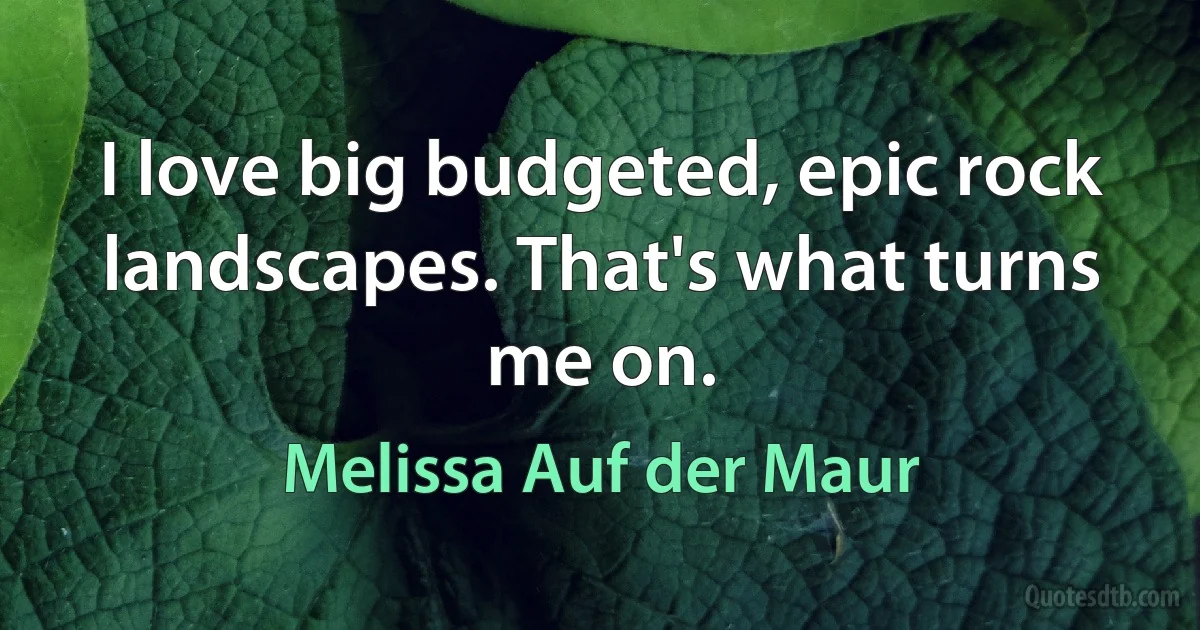 I love big budgeted, epic rock landscapes. That's what turns me on. (Melissa Auf der Maur)