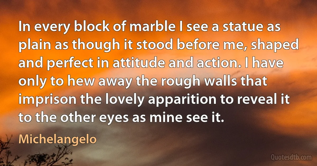 In every block of marble I see a statue as plain as though it stood before me, shaped and perfect in attitude and action. I have only to hew away the rough walls that imprison the lovely apparition to reveal it to the other eyes as mine see it. (Michelangelo)