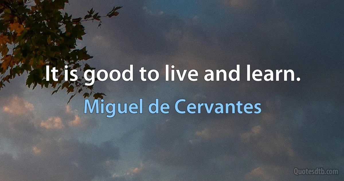 It is good to live and learn. (Miguel de Cervantes)