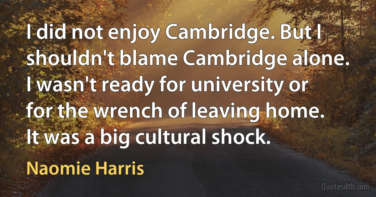 I did not enjoy Cambridge. But I shouldn't blame Cambridge alone. I wasn't ready for university or for the wrench of leaving home. It was a big cultural shock. (Naomie Harris)