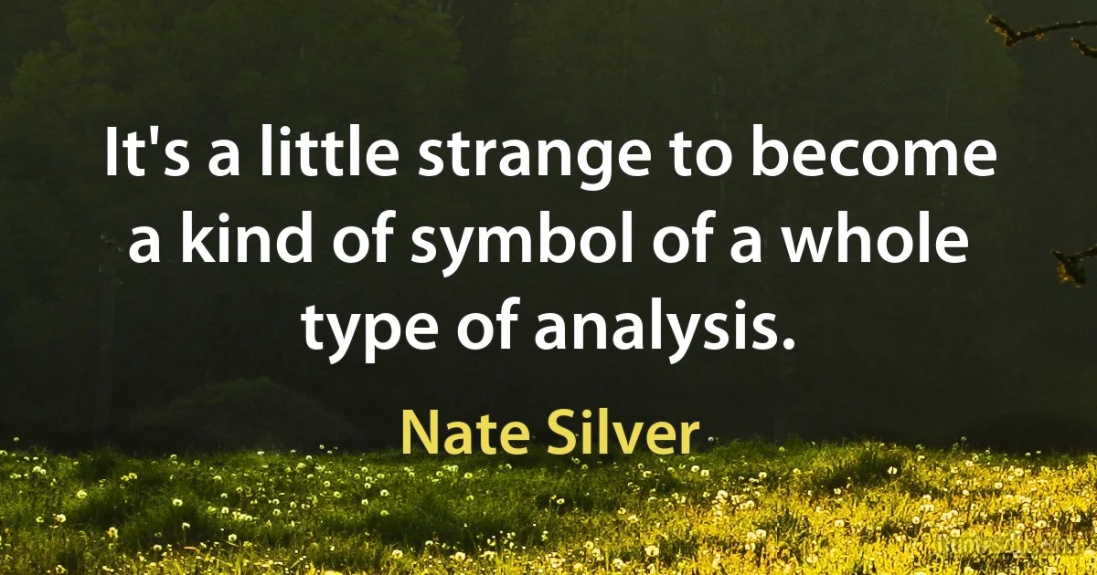 It's a little strange to become a kind of symbol of a whole type of analysis. (Nate Silver)