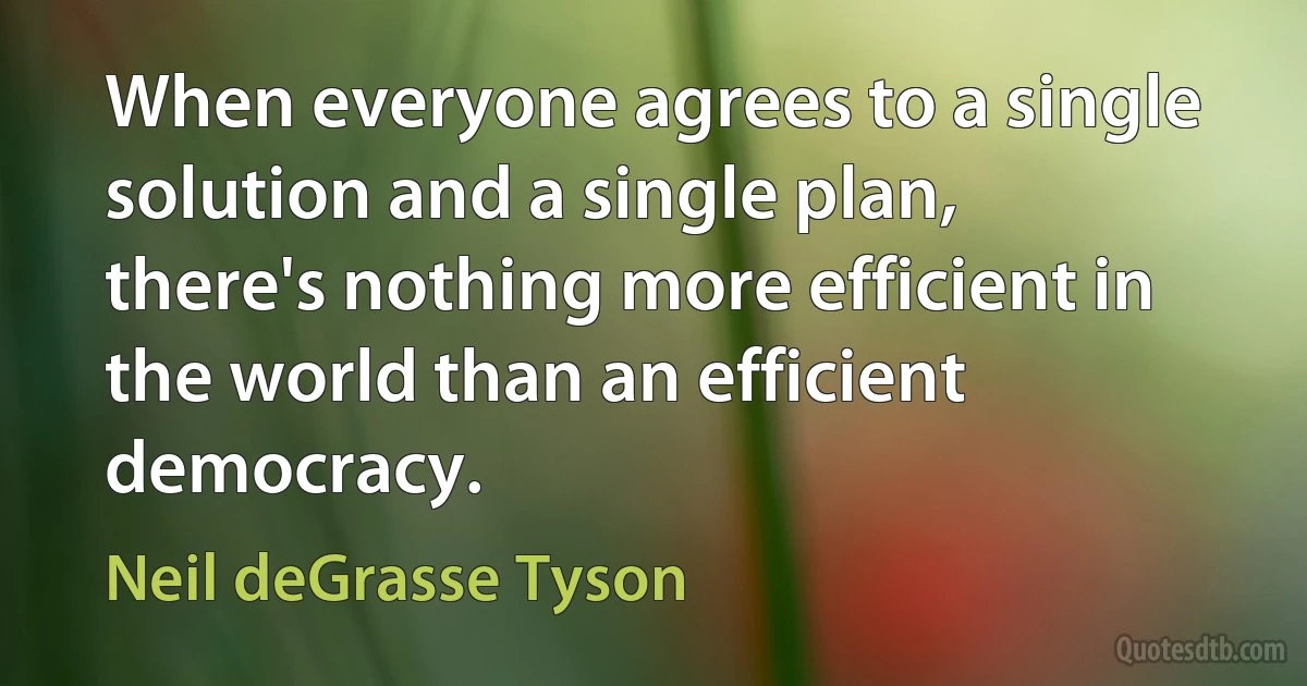 When everyone agrees to a single solution and a single plan, there's nothing more efficient in the world than an efficient democracy. (Neil deGrasse Tyson)