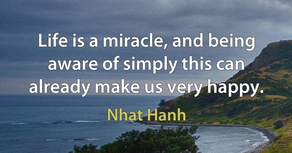 Life is a miracle, and being aware of simply this can already make us very happy. (Nhat Hanh)