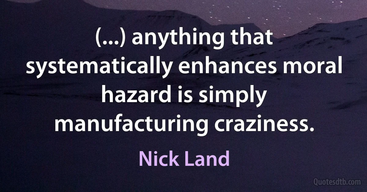 (...) anything that systematically enhances moral hazard is simply manufacturing craziness. (Nick Land)