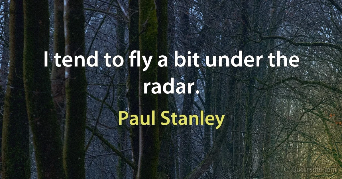 I tend to fly a bit under the radar. (Paul Stanley)