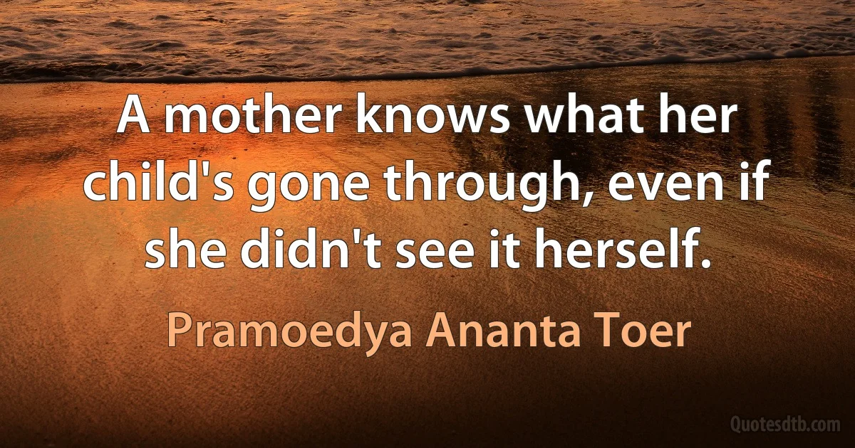 A mother knows what her child's gone through, even if she didn't see it herself. (Pramoedya Ananta Toer)