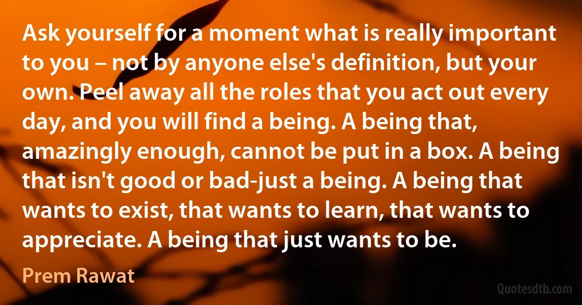 Ask yourself for a moment what is really important to you – not by anyone else's definition, but your own. Peel away all the roles that you act out every day, and you will find a being. A being that, amazingly enough, cannot be put in a box. A being that isn't good or bad-just a being. A being that wants to exist, that wants to learn, that wants to appreciate. A being that just wants to be. (Prem Rawat)