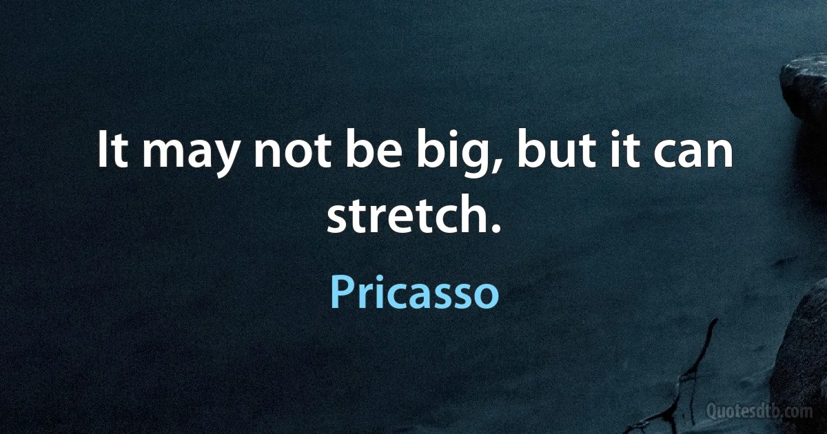 It may not be big, but it can stretch. (Pricasso)