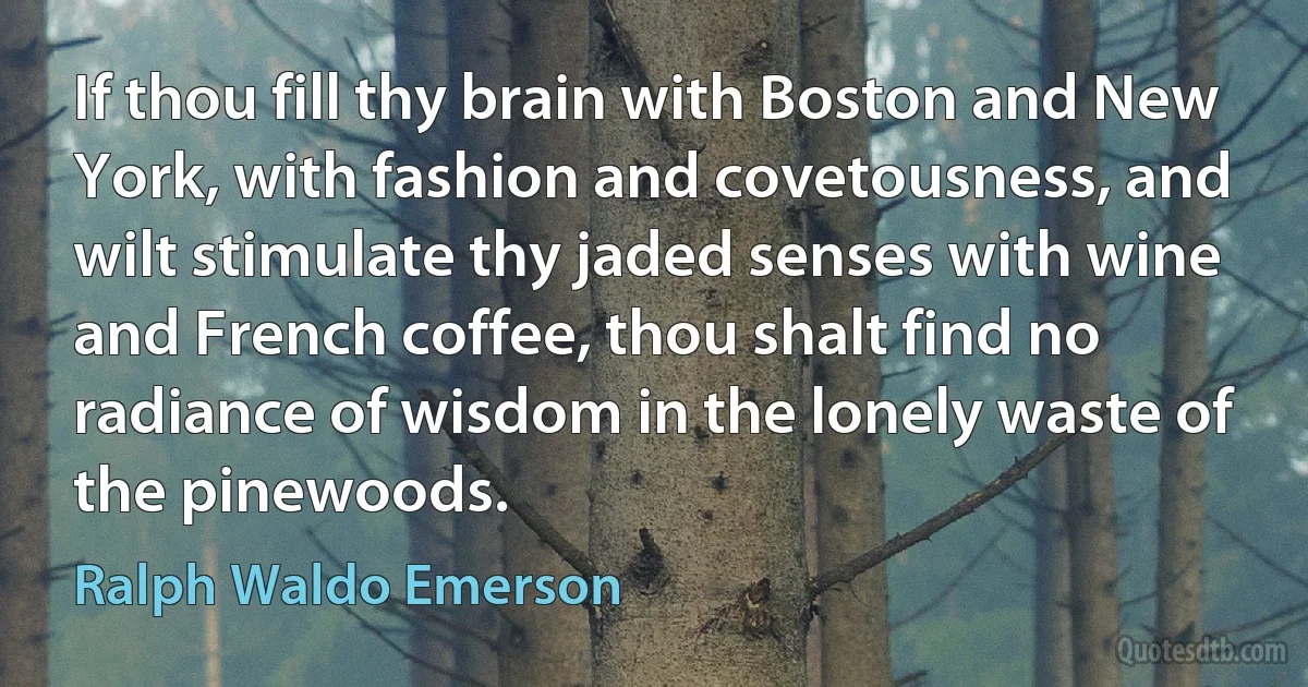 If thou fill thy brain with Boston and New York, with fashion and covetousness, and wilt stimulate thy jaded senses with wine and French coffee, thou shalt find no radiance of wisdom in the lonely waste of the pinewoods. (Ralph Waldo Emerson)