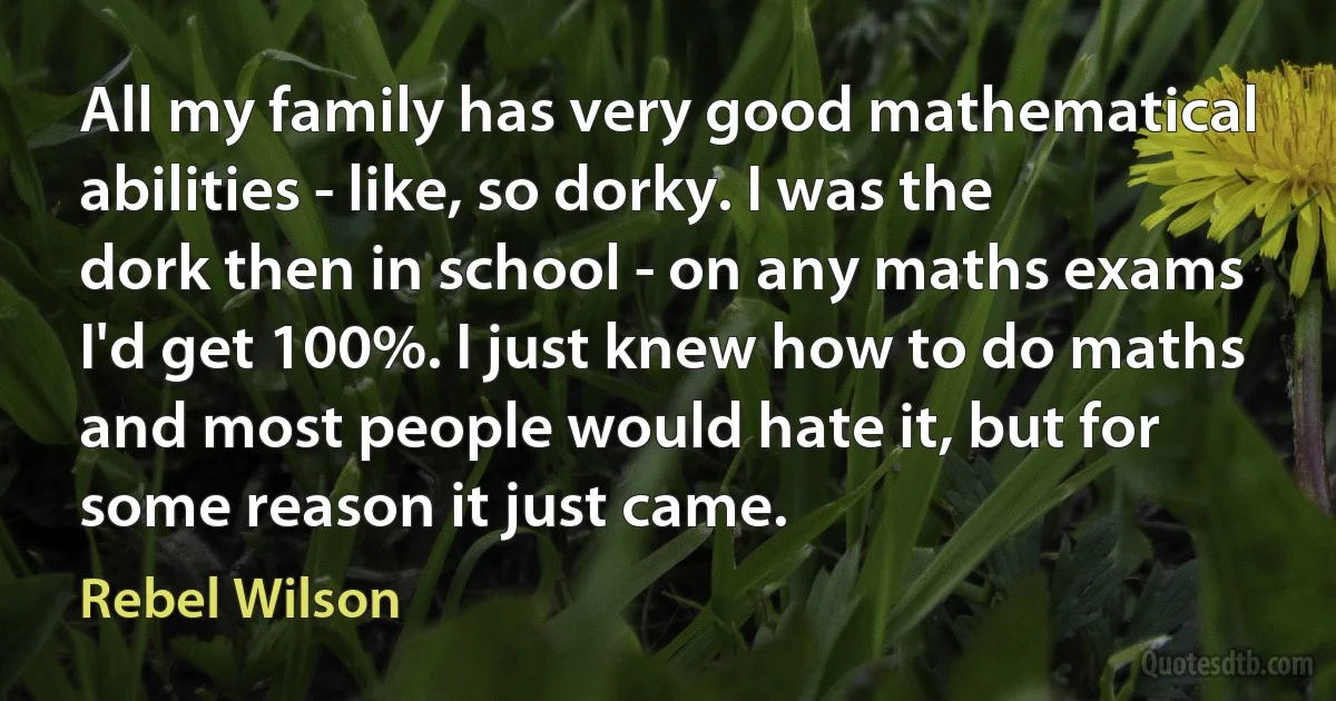 All my family has very good mathematical abilities - like, so dorky. I was the dork then in school - on any maths exams I'd get 100%. I just knew how to do maths and most people would hate it, but for some reason it just came. (Rebel Wilson)