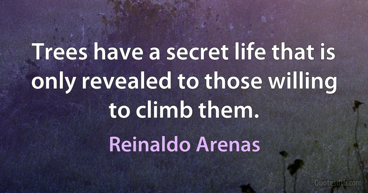 Trees have a secret life that is only revealed to those willing to climb them. (Reinaldo Arenas)