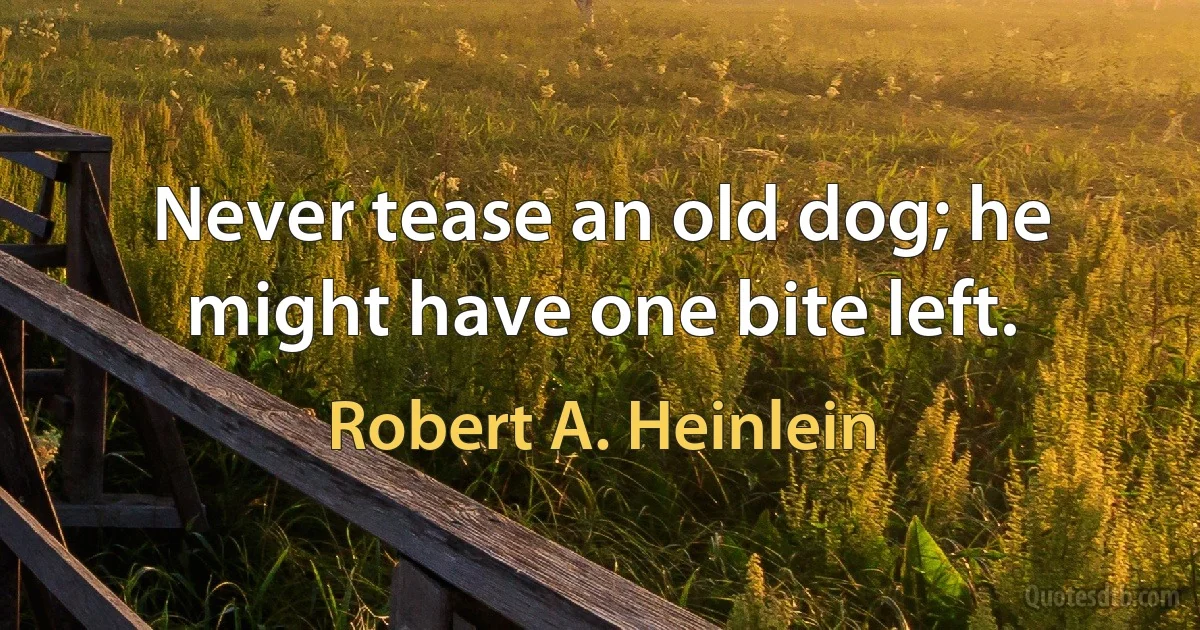 Never tease an old dog; he might have one bite left. (Robert A. Heinlein)