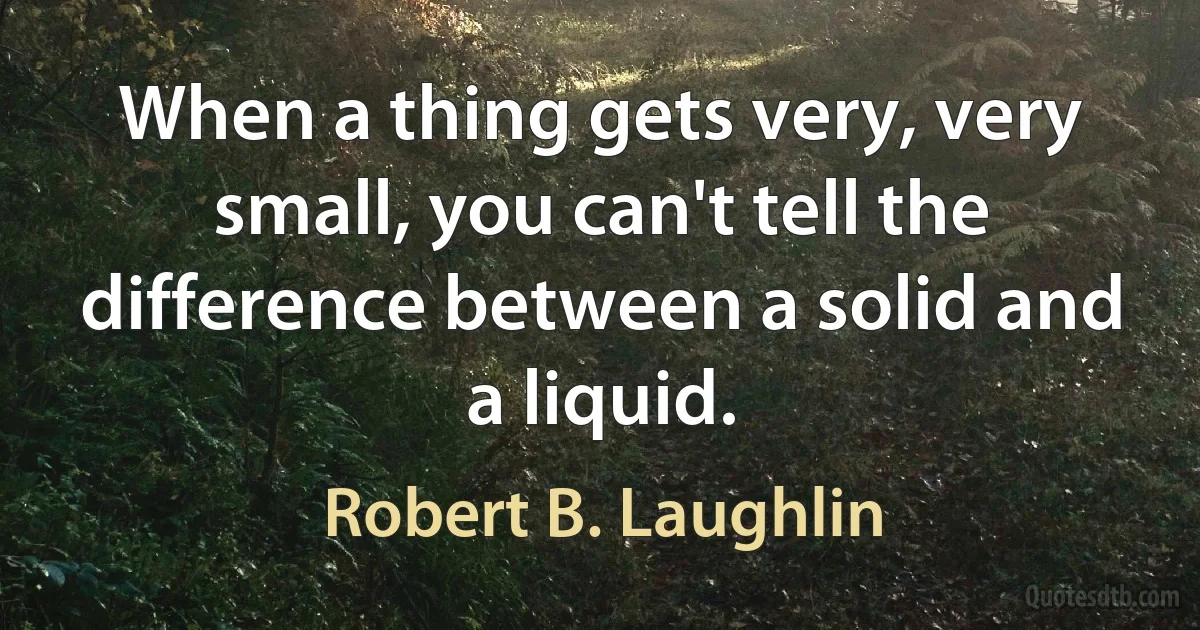 When a thing gets very, very small, you can't tell the difference between a solid and a liquid. (Robert B. Laughlin)