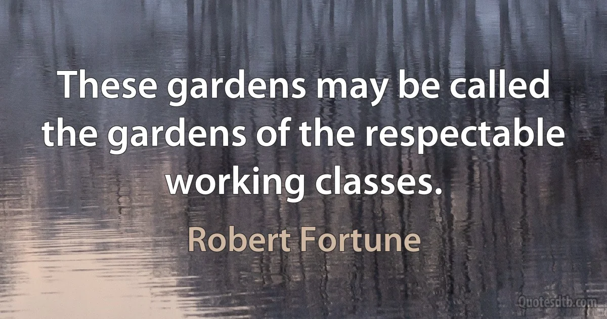 These gardens may be called the gardens of the respectable working classes. (Robert Fortune)