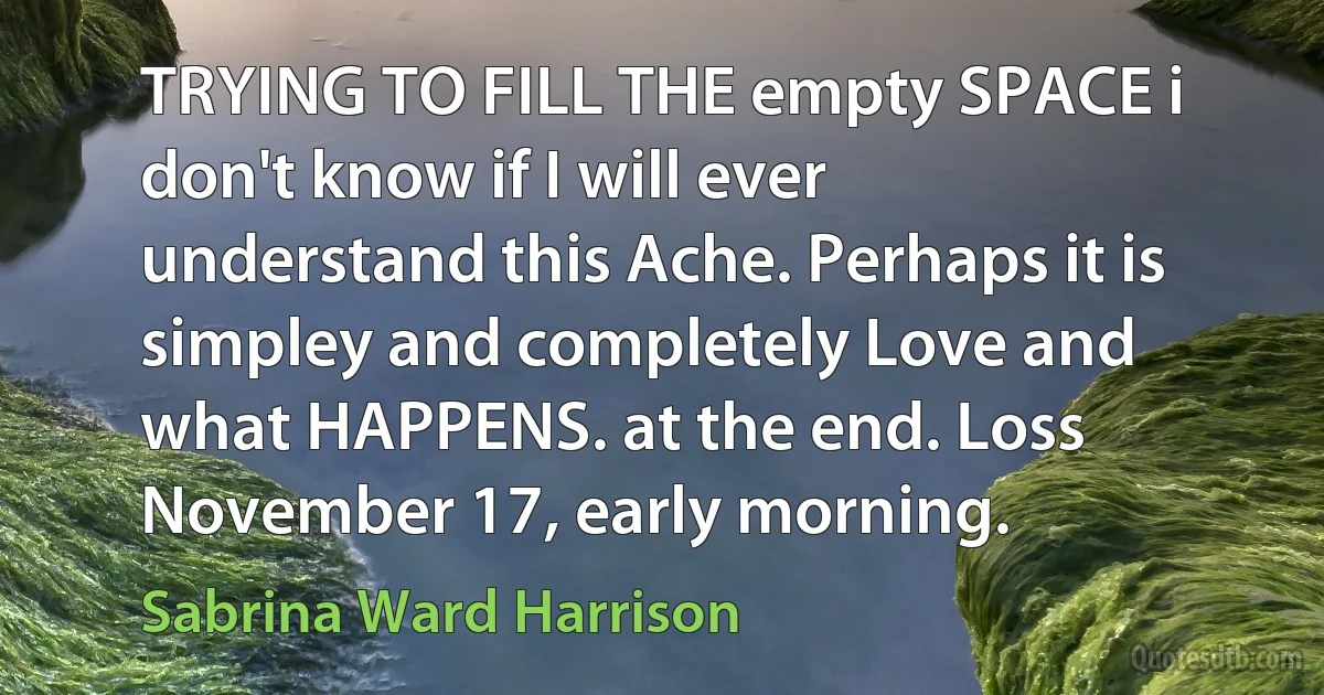 TRYING TO FILL THE empty SPACE i don't know if I will ever understand this Ache. Perhaps it is simpley and completely Love and what HAPPENS. at the end. Loss November 17, early morning. (Sabrina Ward Harrison)