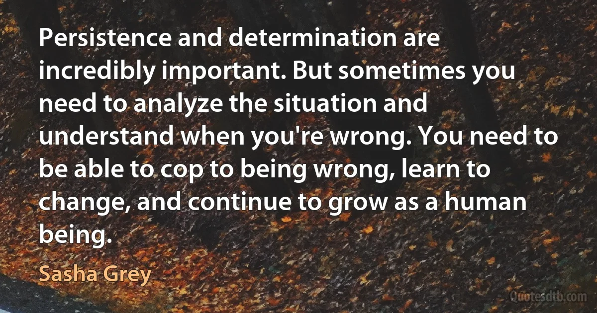 Persistence and determination are incredibly important. But sometimes you need to analyze the situation and understand when you're wrong. You need to be able to cop to being wrong, learn to change, and continue to grow as a human being. (Sasha Grey)