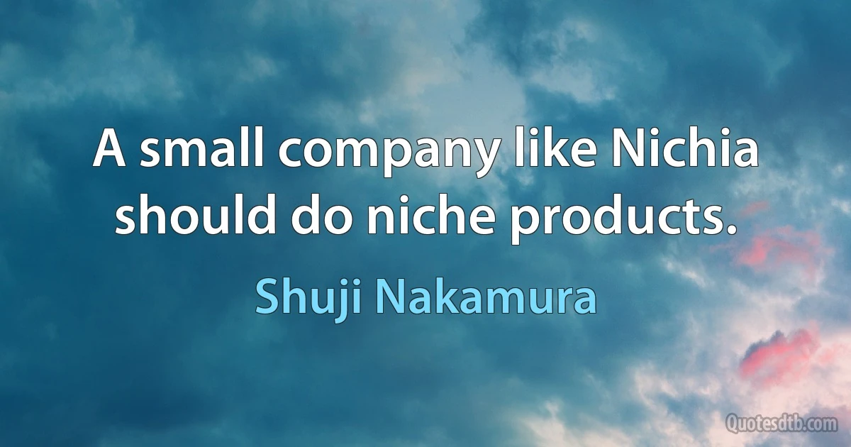 A small company like Nichia should do niche products. (Shuji Nakamura)