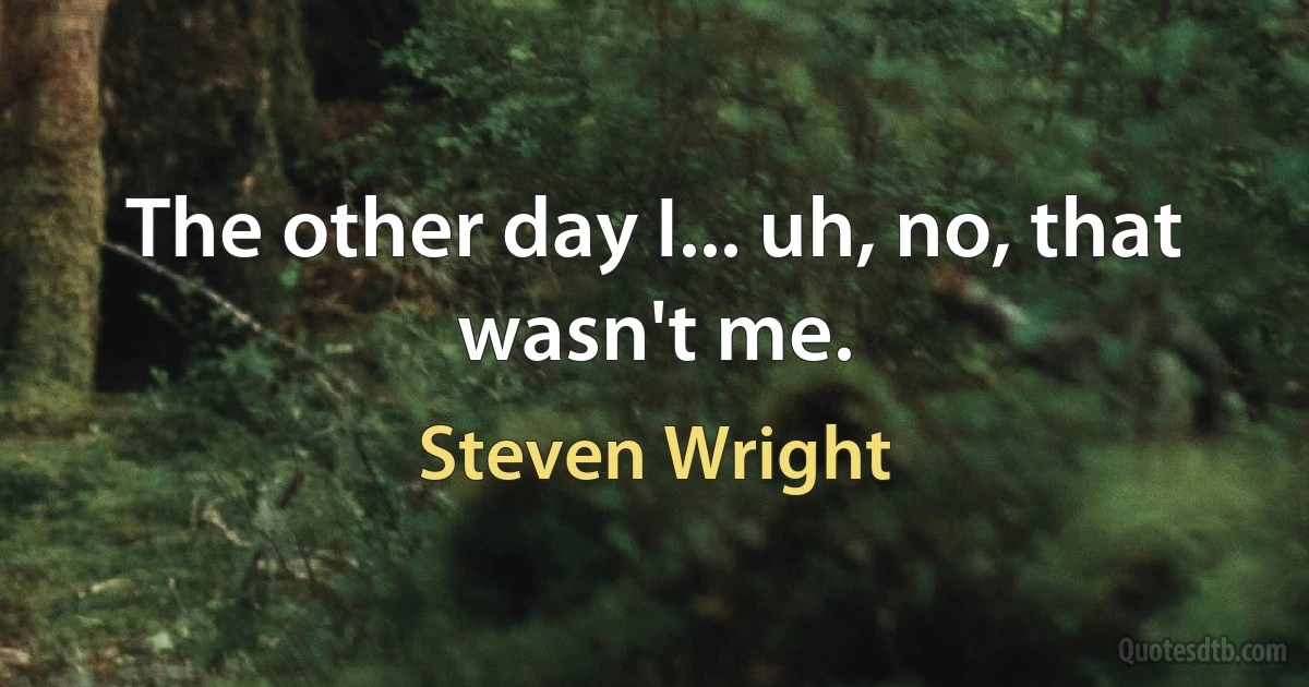 The other day I... uh, no, that wasn't me. (Steven Wright)