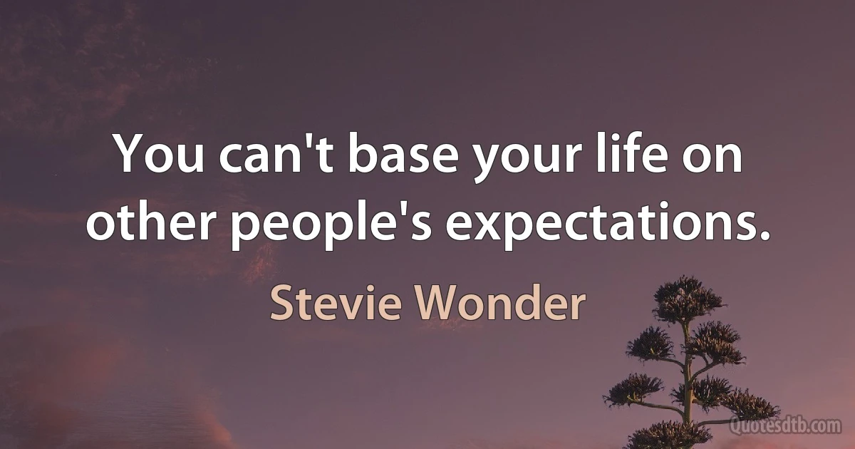 You can't base your life on other people's expectations. (Stevie Wonder)